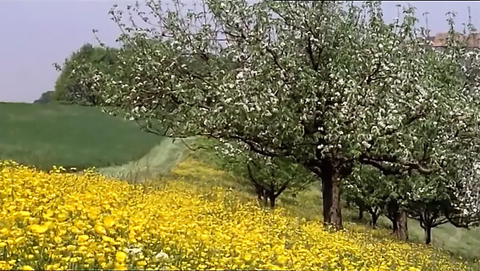 1977: סרט מלא של תלמידות מתחילות להתאונן ולאכול פטמות