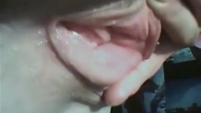 Vidéo Webcam De Plaisir Anal Et Vaginal