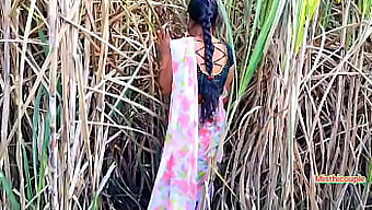 Desi Aunty Gets Her Pussy Pounded In Sugarcane Field