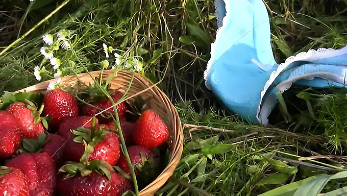 Strawberrys Dan Close-Up: Pengalaman Yang Sedap Dan Sensual