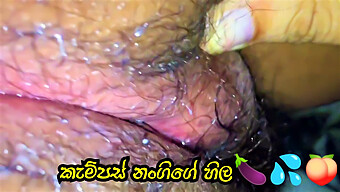 Sri Lankan Condom Fun With Campus Nangita'S Big Clit And Orgasmic Experience