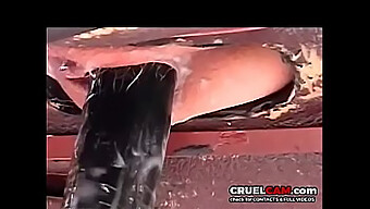 Seks Saddle Yang Ekstrem Dengan Mainan Seks: Video Yang Wajib Ditonton - Www.Cruelcam.Com