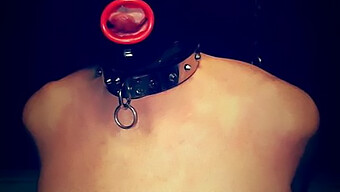 Bdsm-Slave Trænet Med Maske Og Ballbusting