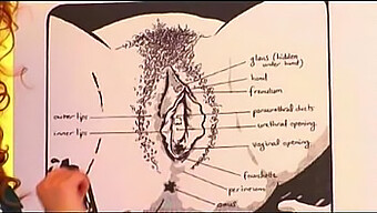 El Oficio Del Sexo Oral