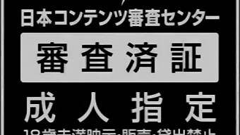 啜饮介绍并享受这个性感的女仆色情视频